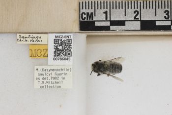 Media type: image;   Entomology 786045 Aspect: Labels